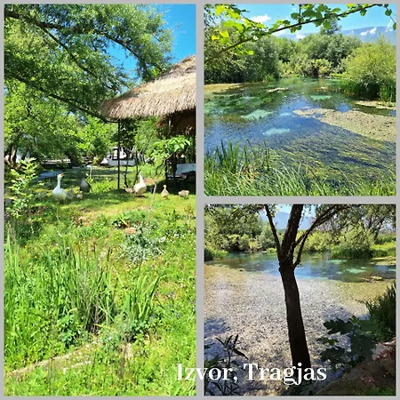 Апартаменты Vacanze Pushime Albania Радима